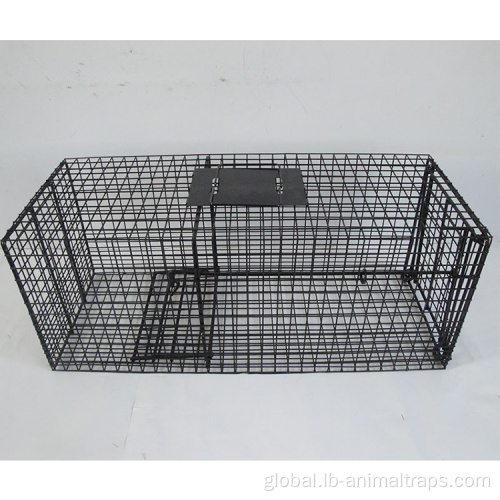 China high quality Stainless steel dog cage Supplier